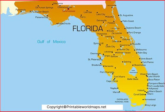 Labeled Map of Florida with Capital & Cities 2 Labeled Map of Florida